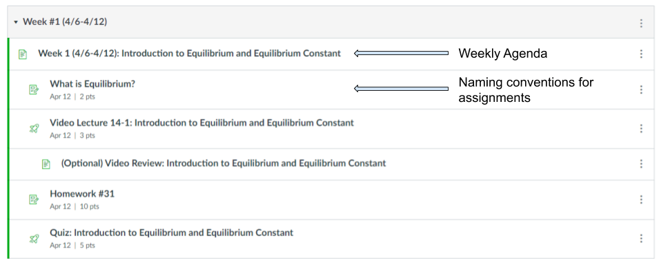 Canvas Modules Screenshot Canvas modules screenshot