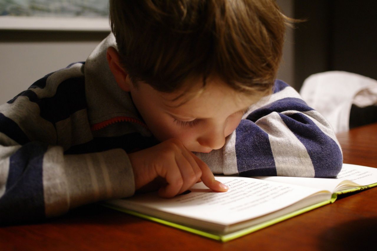 Small boy reading a book.
